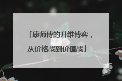 康师傅的升维博弈，从价格战到价值战